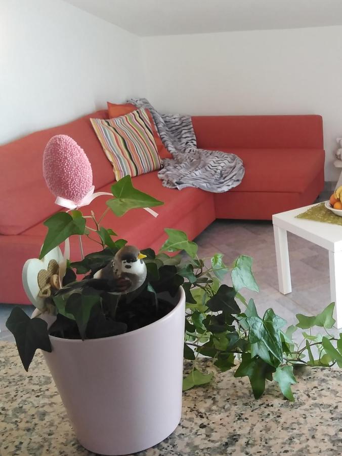 Apartments Nina Ravni Kamer foto